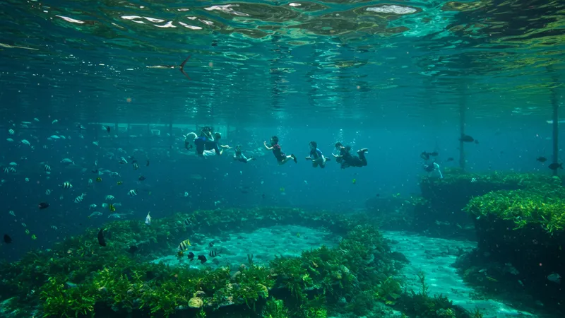 Page 12 illustration