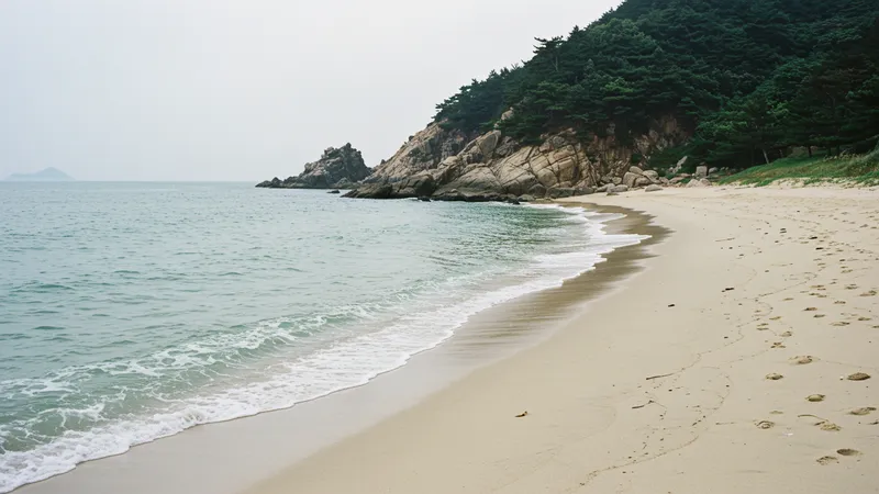 Page 16 illustration